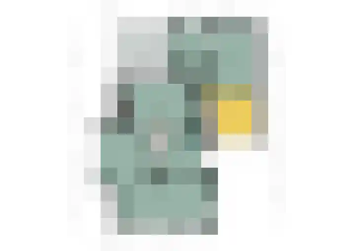 Plaveistoker 5 Deurne thumbnail 62