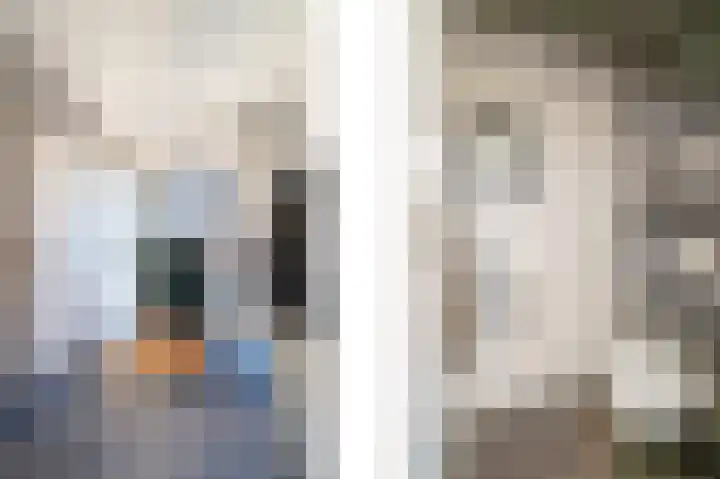 Plaveistoker 5 Deurne thumbnail 8