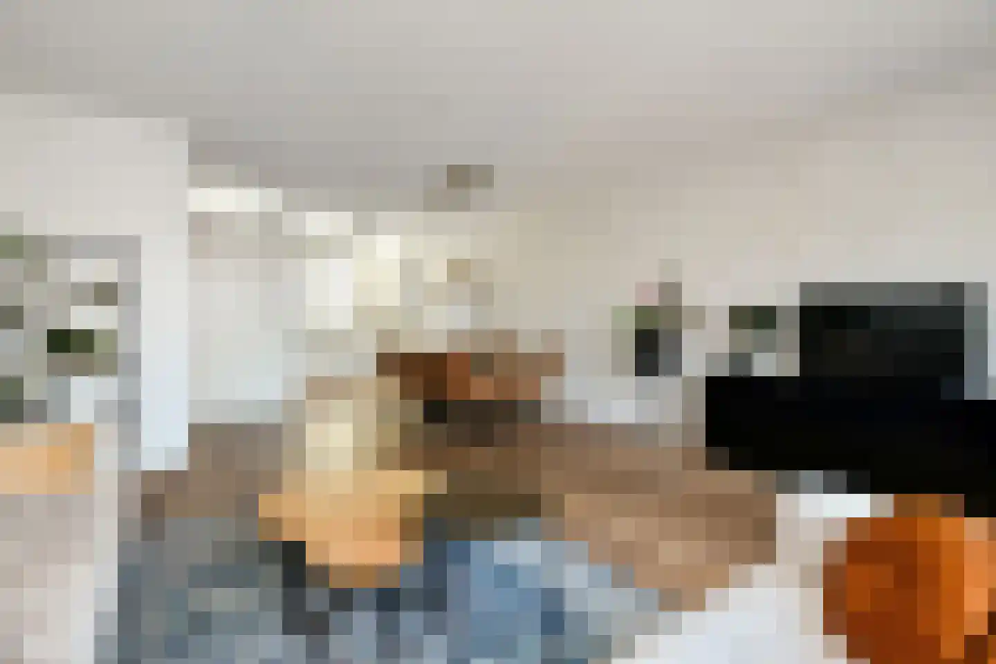 Plaza 12 Huissen thumbnail 12