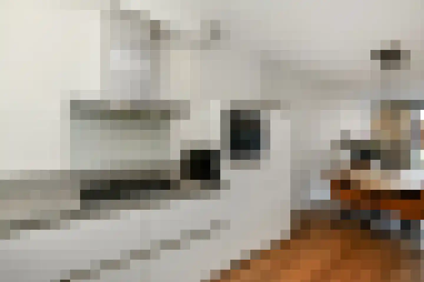 Plaza 12 Huissen thumbnail 17