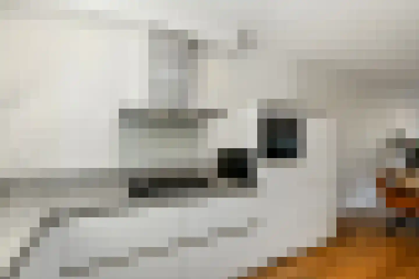 Plaza 12 Huissen thumbnail 19
