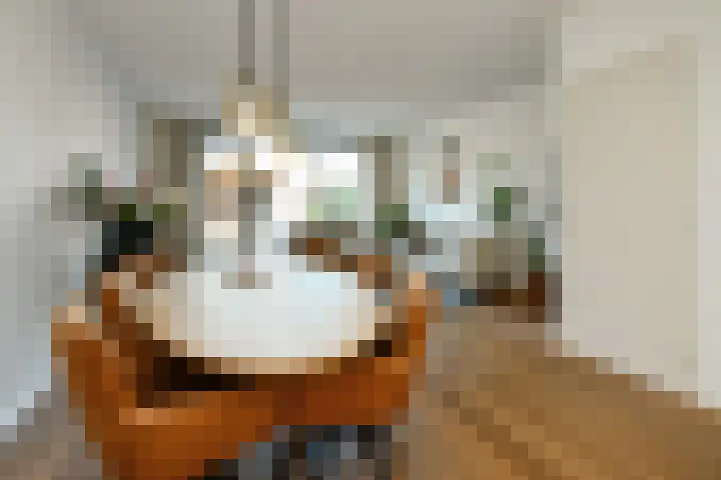 Plaza 12 Huissen thumbnail 20
