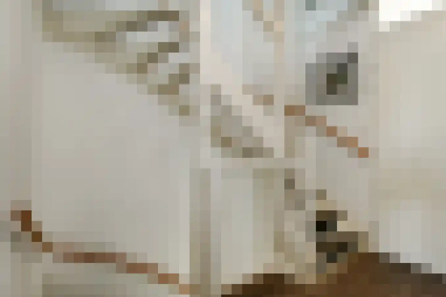 Plaza 12 Huissen thumbnail 23
