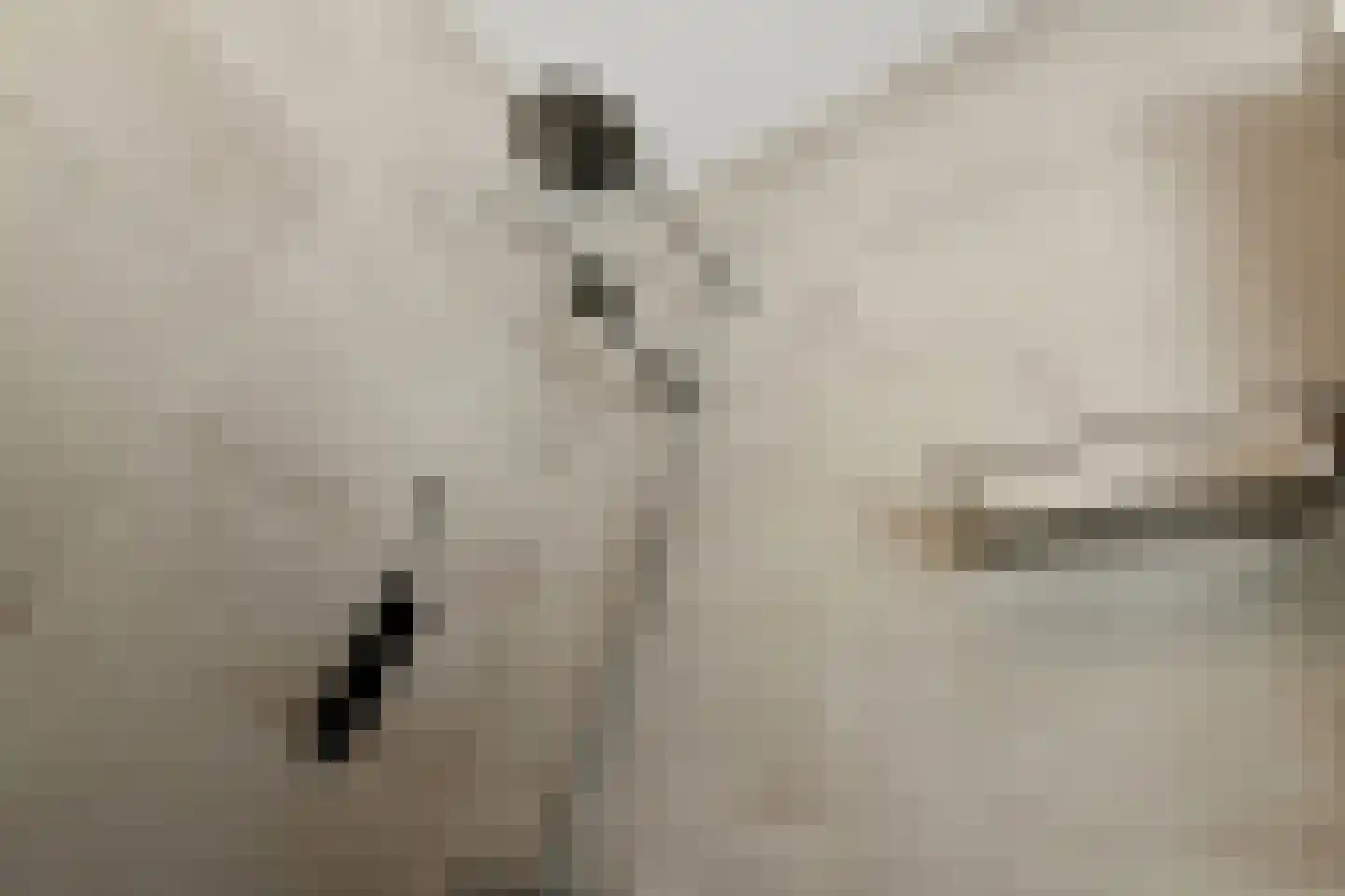 Plaza 12 Huissen thumbnail 36