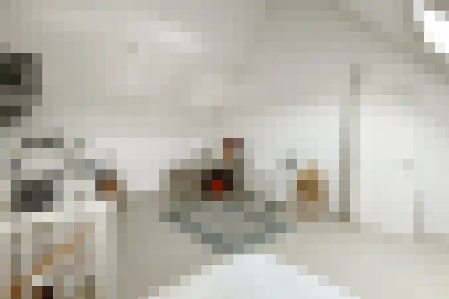 Plaza 12 Huissen thumbnail 40