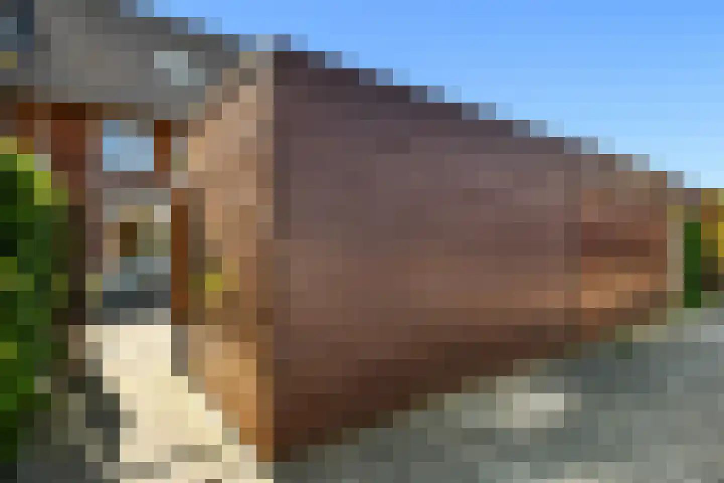 Plaza 12 Huissen thumbnail 49