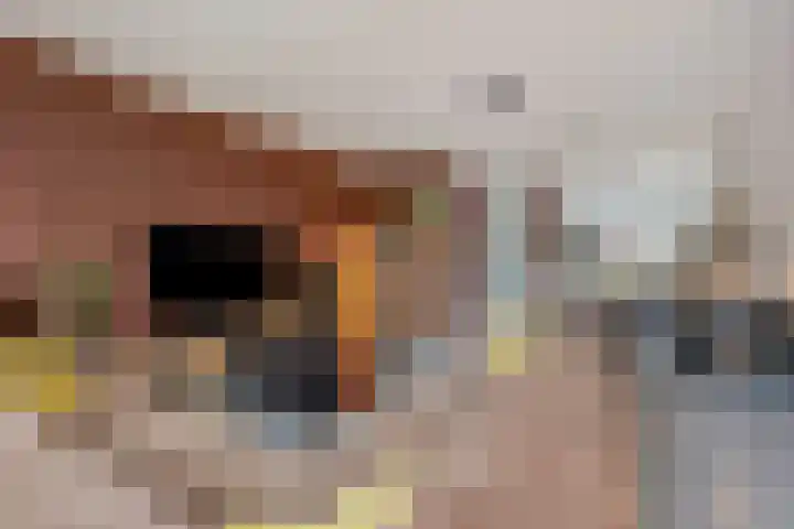 Plaza 22 Huissen thumbnail 13