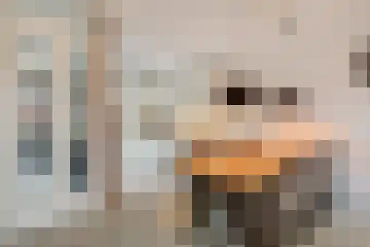 Plaza 22 Huissen thumbnail 17