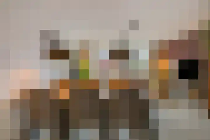 Plaza 22 Huissen thumbnail 19