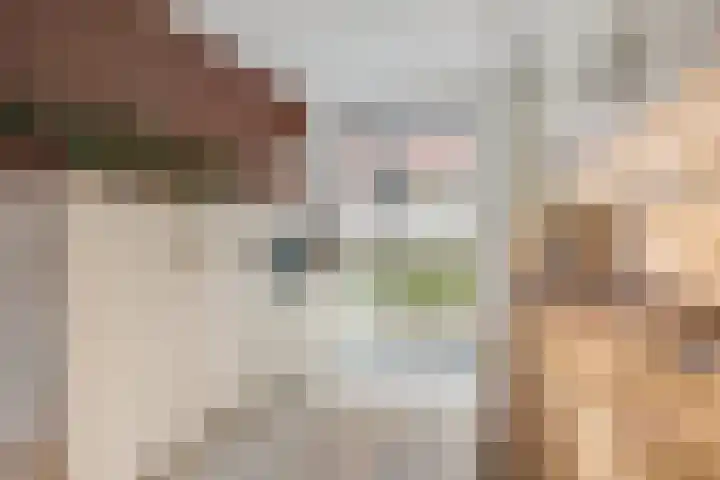 Plaza 22 Huissen thumbnail 21