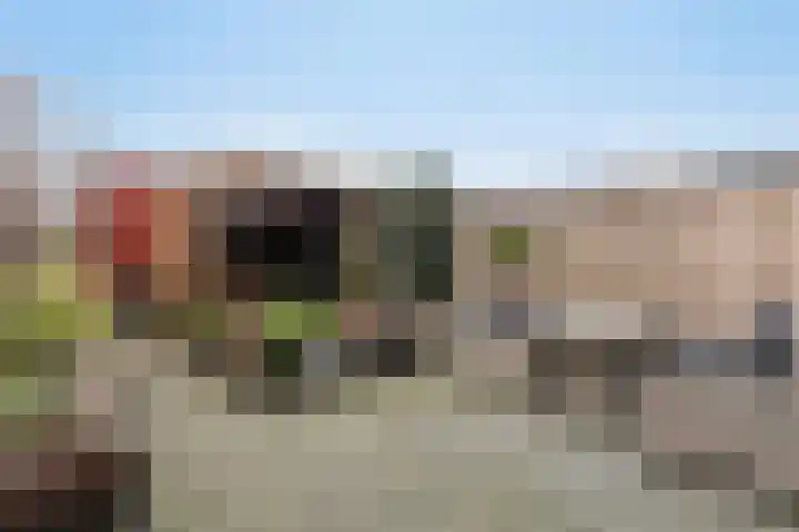 Plaza 22 Huissen thumbnail 25