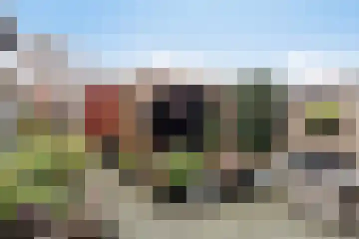 Plaza 22 Huissen thumbnail 26
