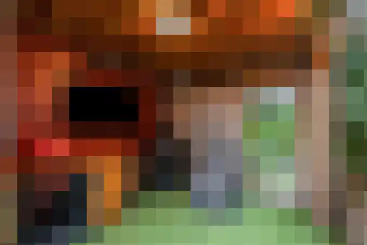 Plaza 22 Huissen thumbnail 29