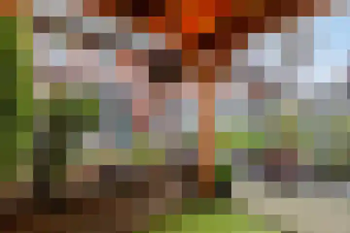Plaza 22 Huissen thumbnail 30