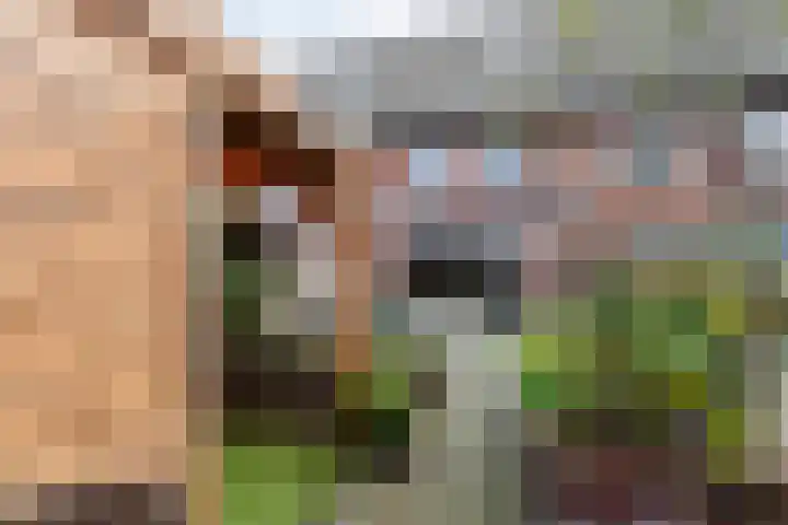 Plaza 22 Huissen thumbnail 31