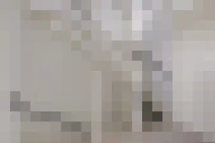 Plaza 22 Huissen thumbnail 32