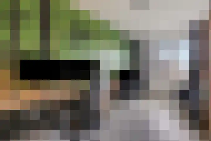 Plaza 22 Huissen thumbnail 33