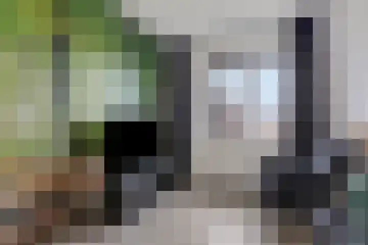 Plaza 22 Huissen thumbnail 34