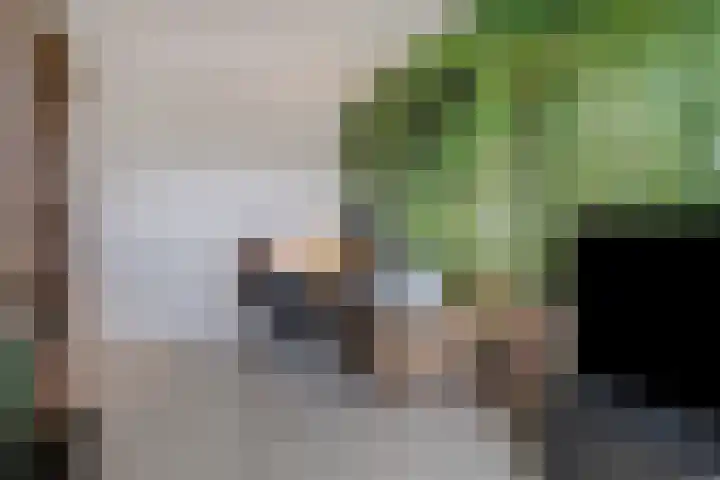 Plaza 22 Huissen thumbnail 35