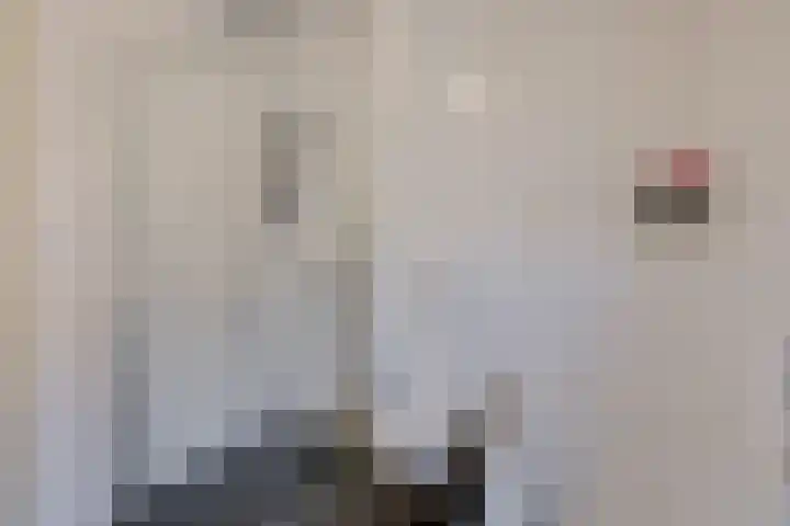 Plaza 22 Huissen thumbnail 39
