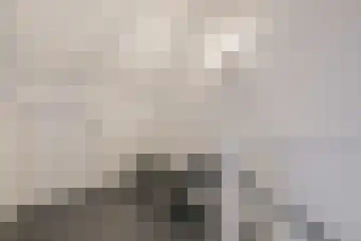 Plaza 22 Huissen thumbnail 43