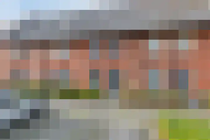 Plaza 22 Huissen thumbnail 5