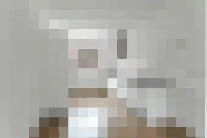 Plaza 58 Huissen thumbnail 11