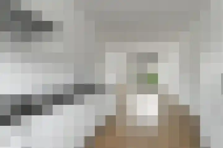 Plaza 58 Huissen thumbnail 14