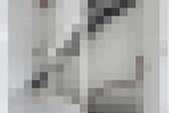 Plaza 58 Huissen thumbnail 16