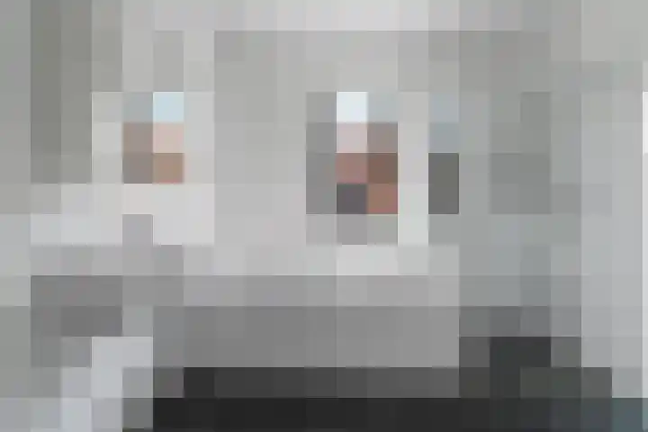 Plaza 58 Huissen thumbnail 20