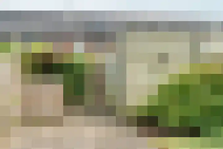 Plaza 58 Huissen thumbnail 30