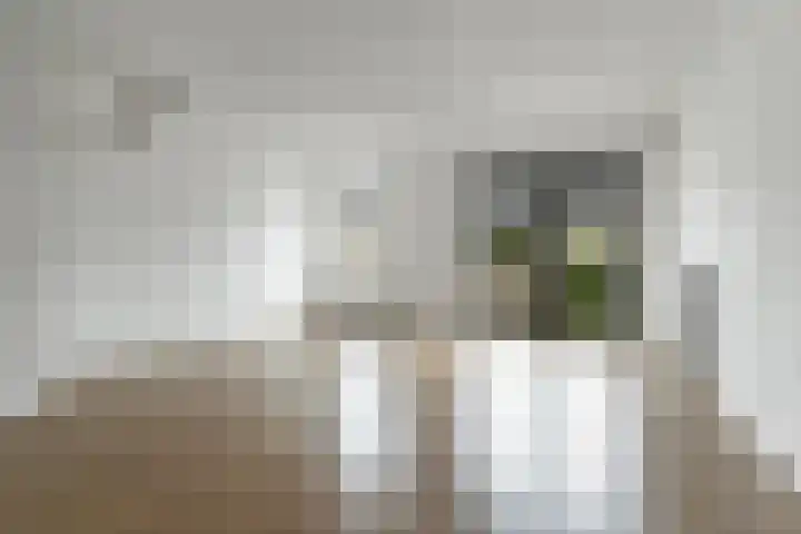 Plaza 58 Huissen thumbnail 8