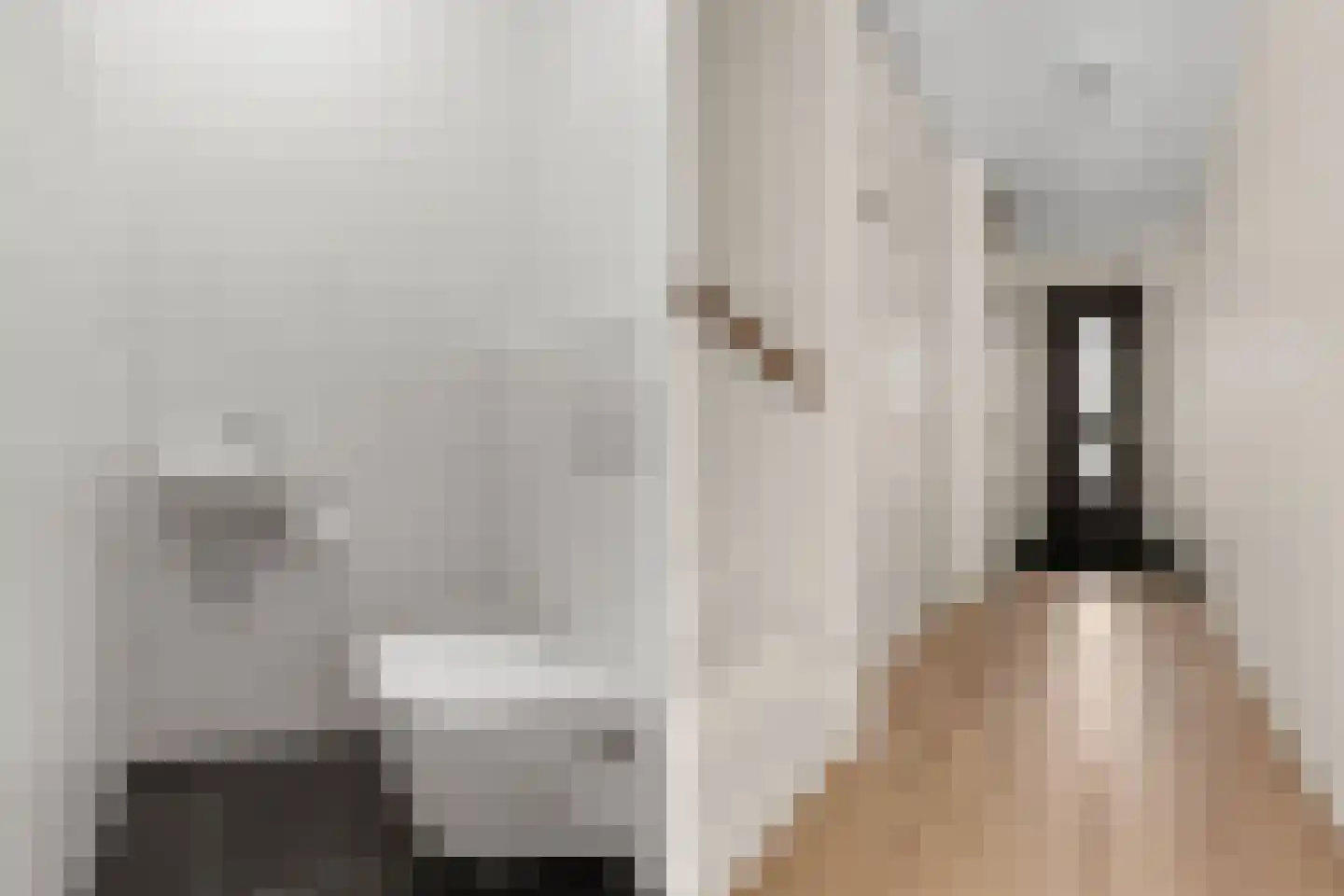 Plaza 62 Huissen thumbnail 11