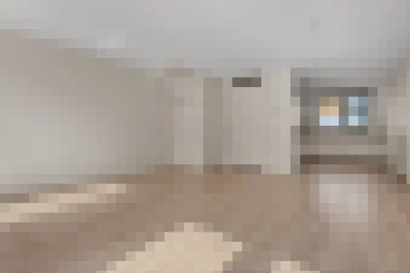 Plaza 62 Huissen thumbnail 7