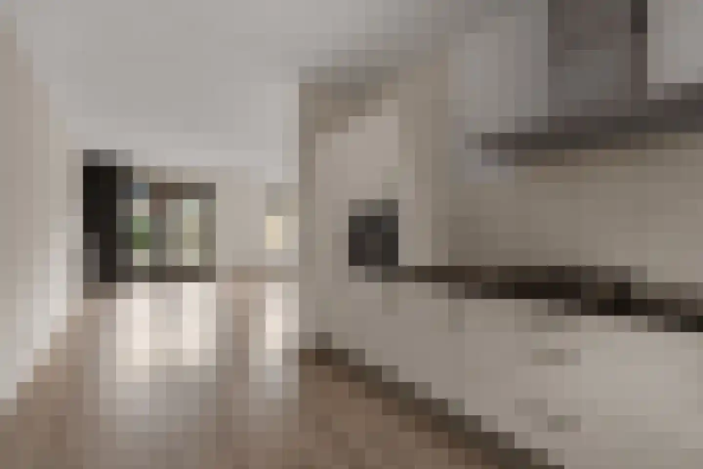 Plaza 62 Huissen thumbnail 9