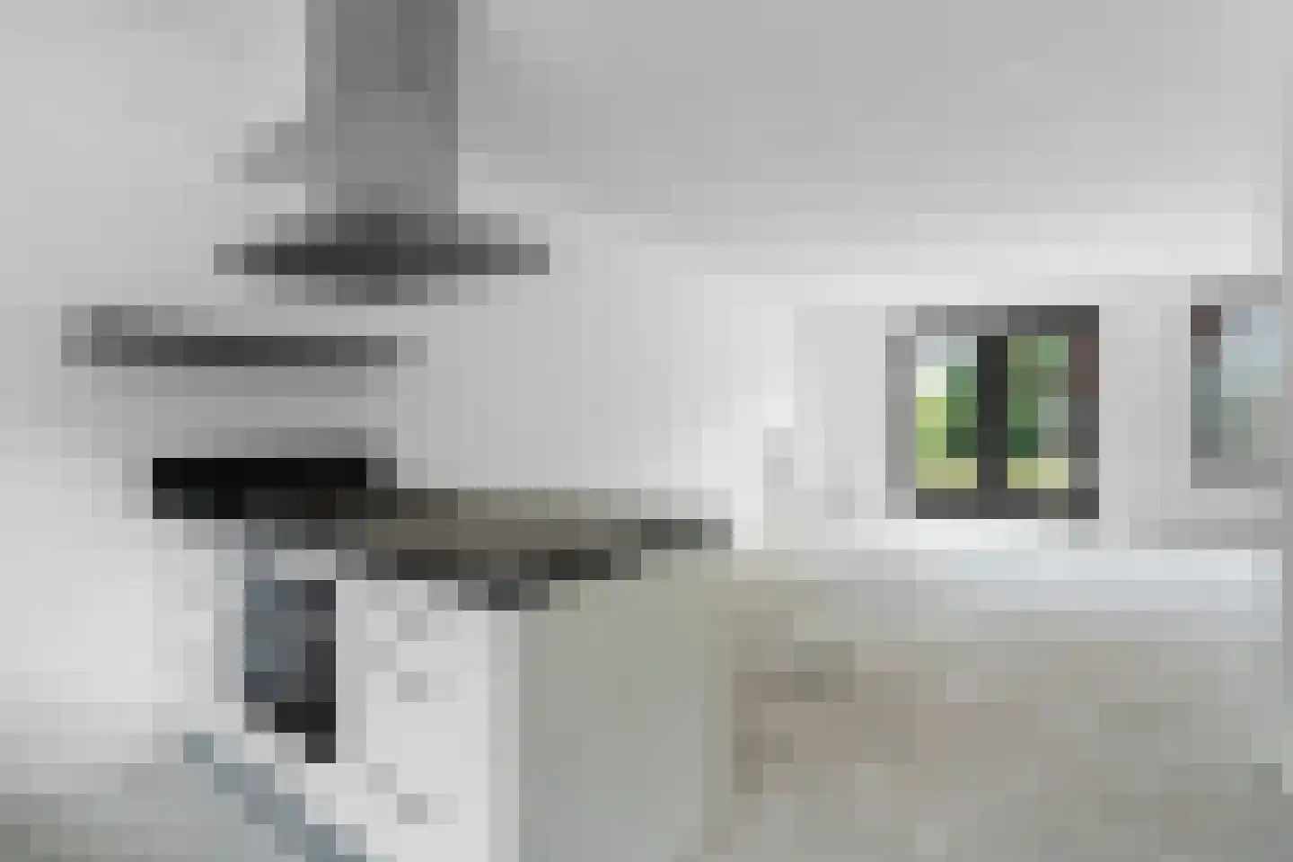 Plaza 82 Huissen thumbnail 11