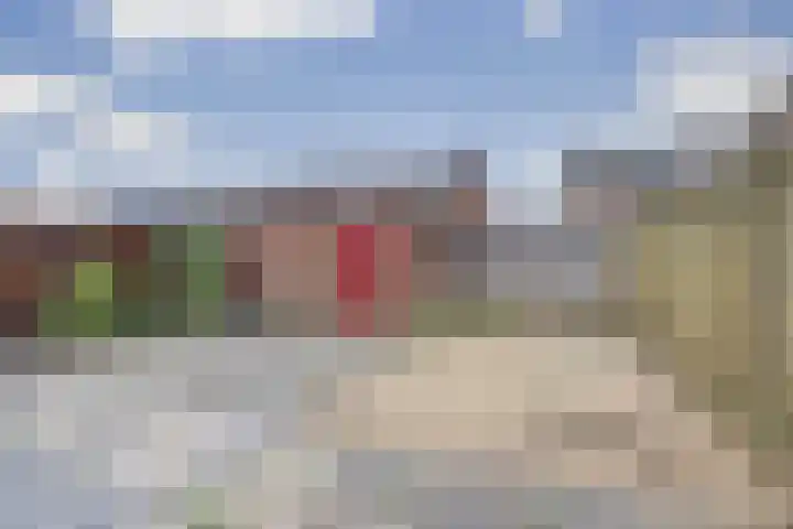 Plechelmastraat 12 Gendt thumbnail 13