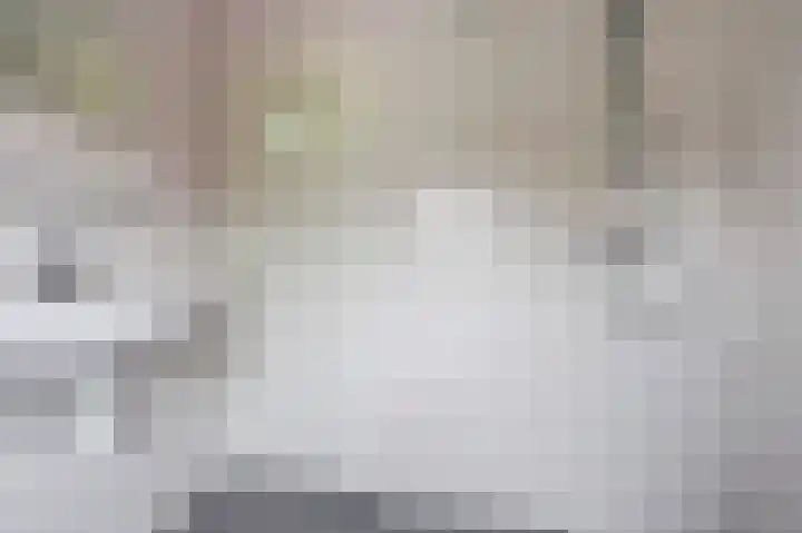 Plechelmastraat 12 Gendt thumbnail 18