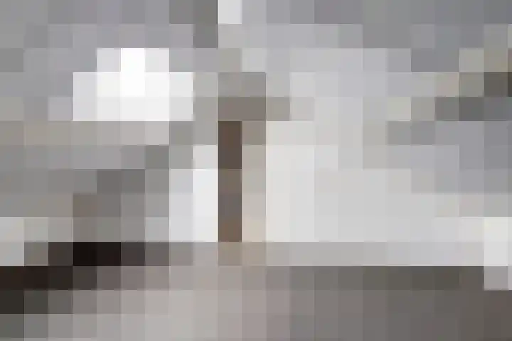 Plechelmastraat 12 Gendt thumbnail 26