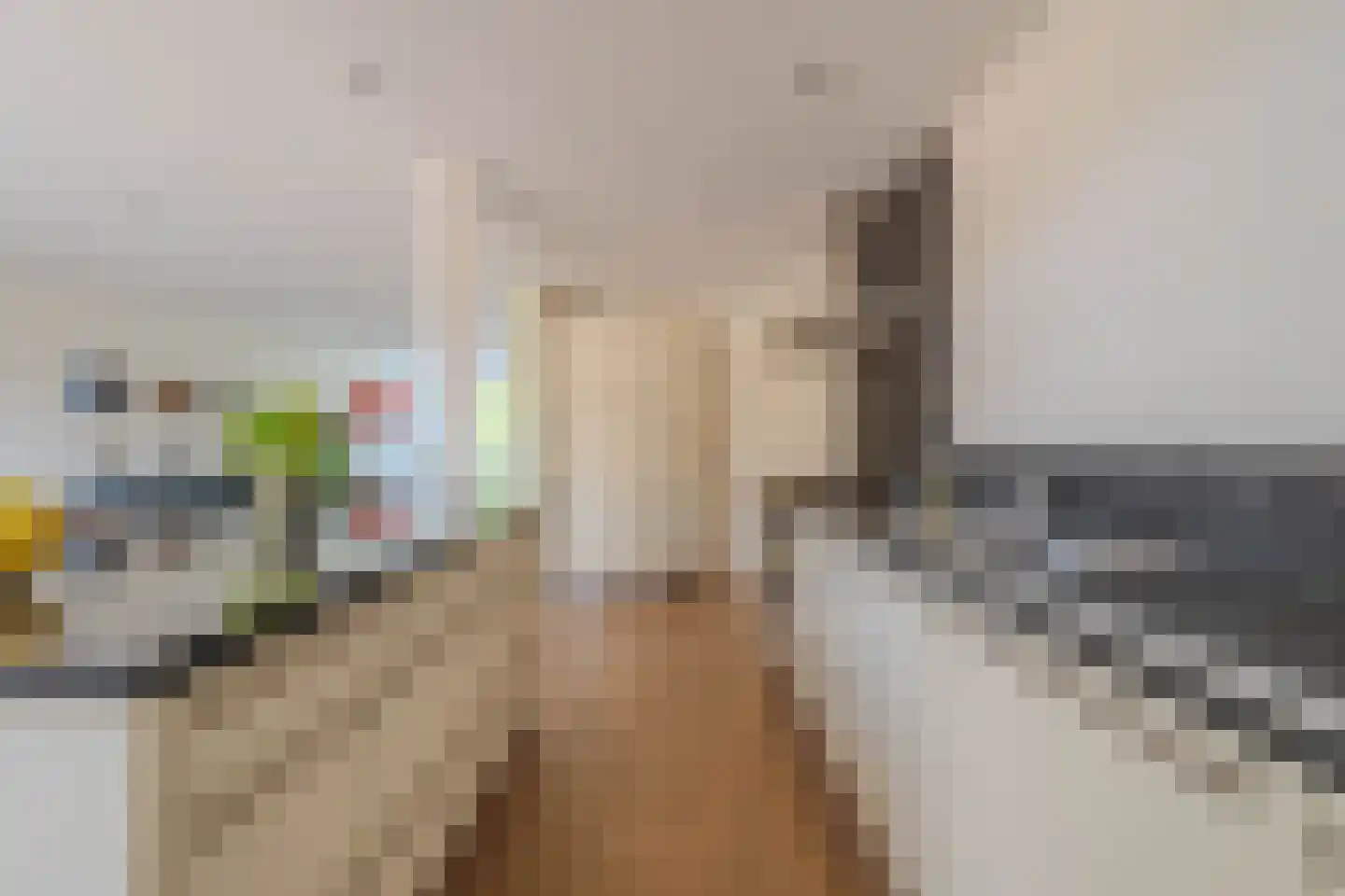 Plechelmusstraat 23 Tegelen thumbnail 19