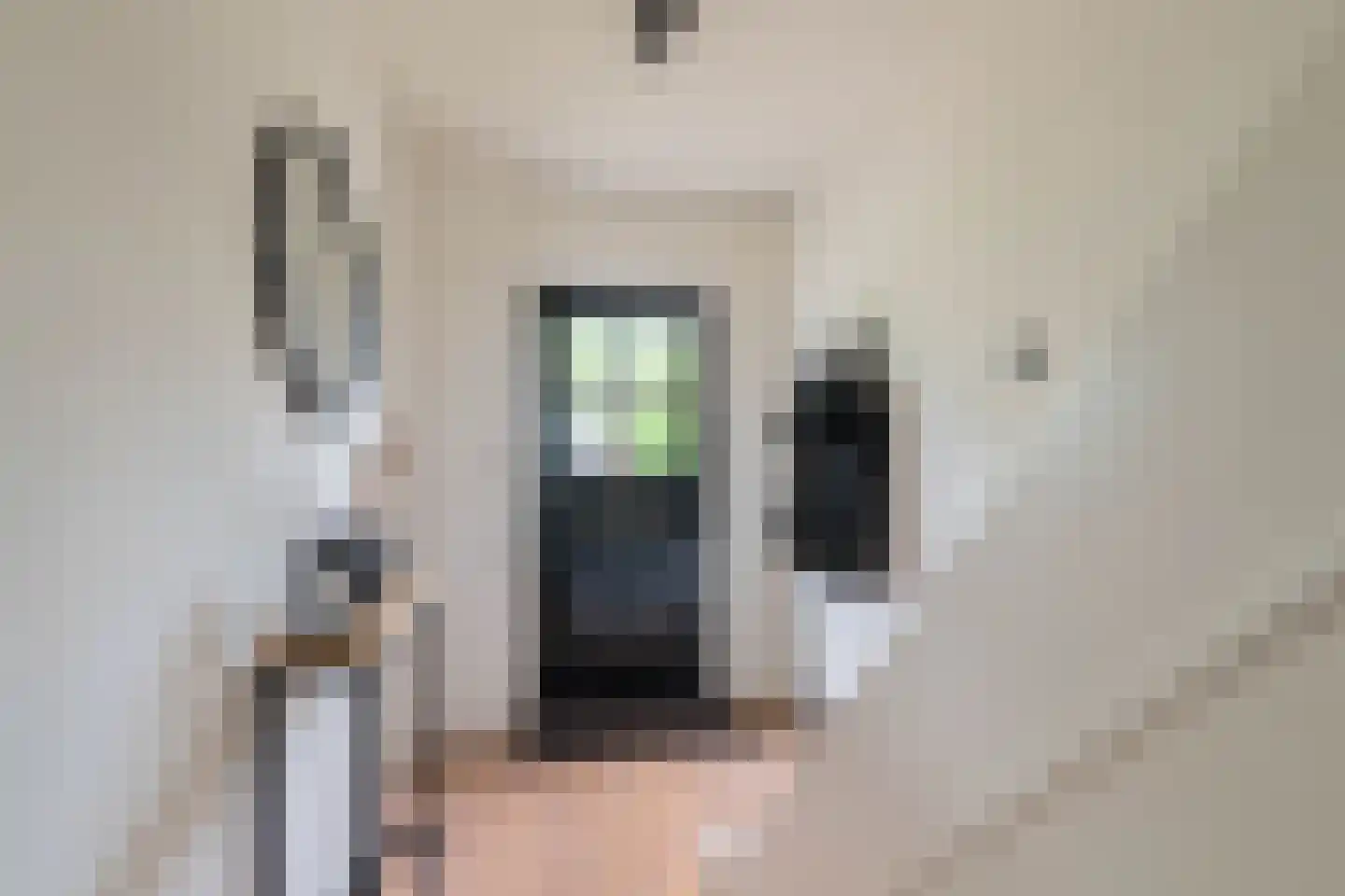 Plechelmusstraat 23 Tegelen thumbnail 30