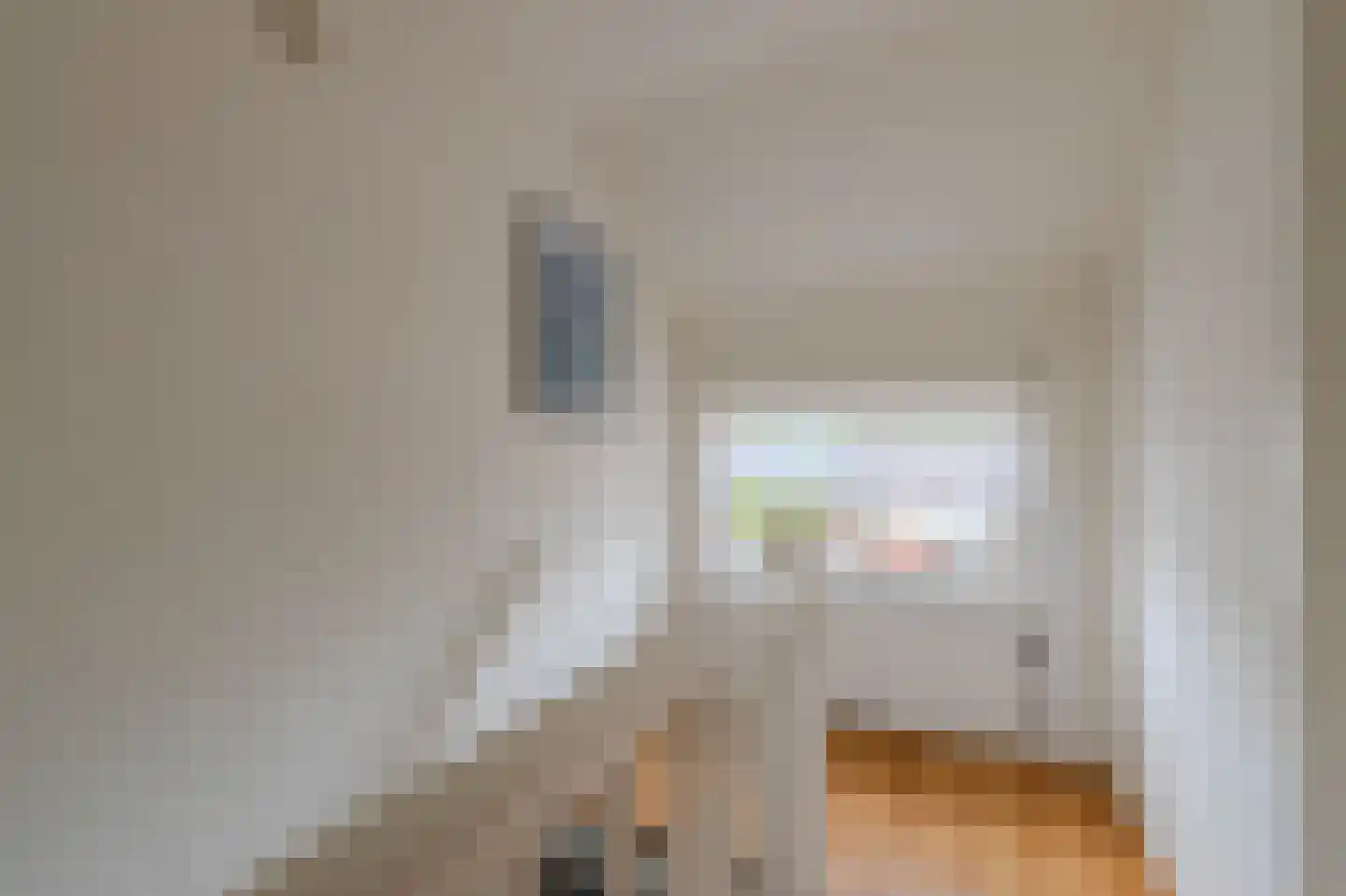 Plechelmusstraat 23 Tegelen thumbnail 40