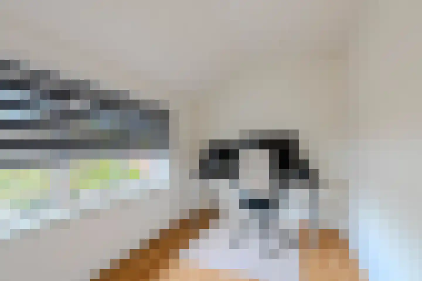 Plechelmusstraat 23 Tegelen thumbnail 43