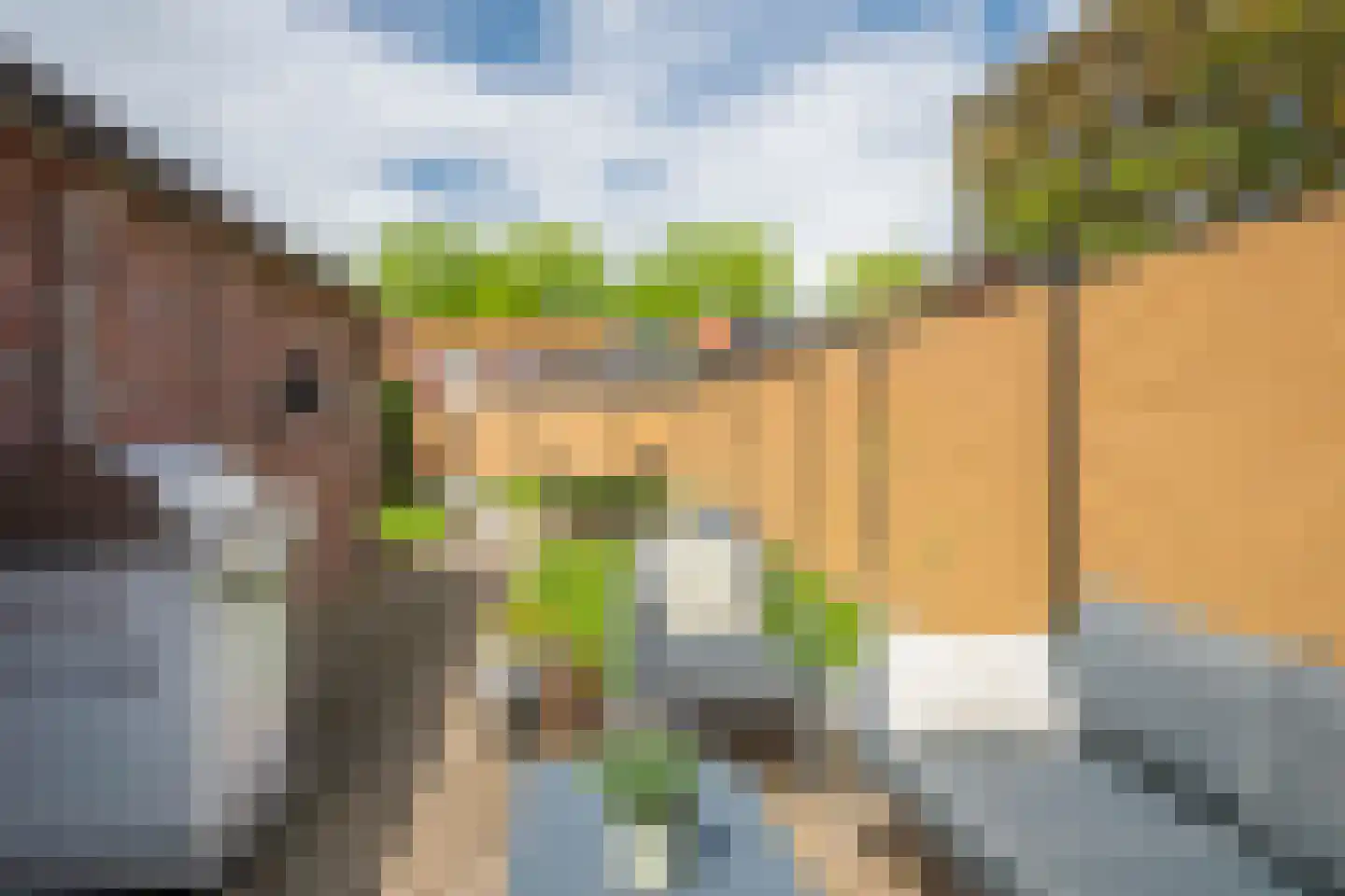 Plechelmusstraat 23 Tegelen thumbnail 46