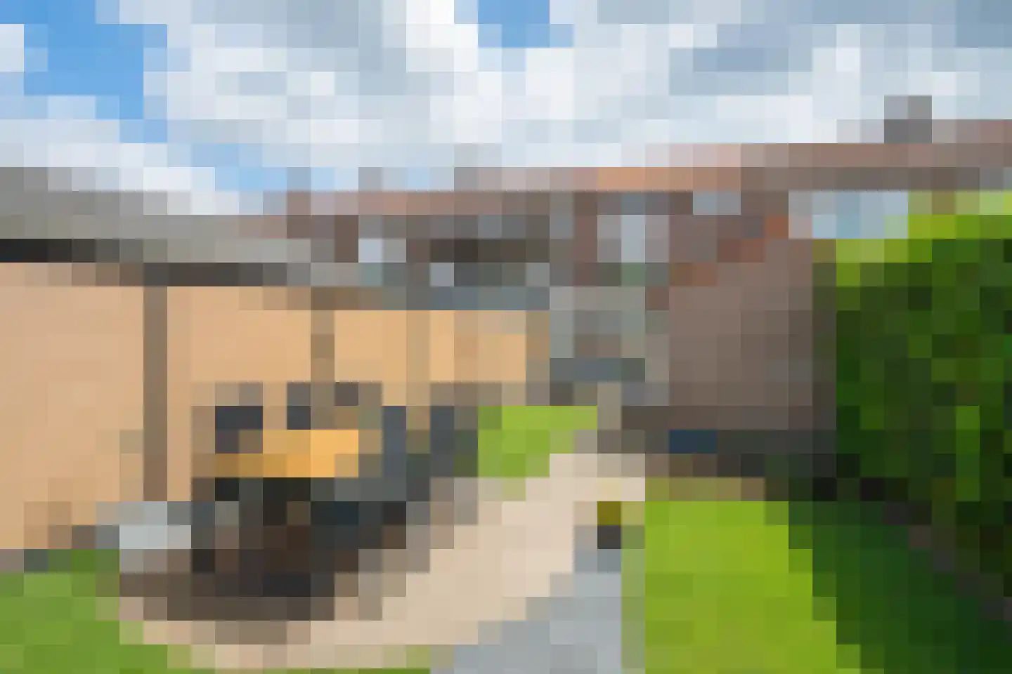 Plechelmusstraat 23 Tegelen thumbnail 49