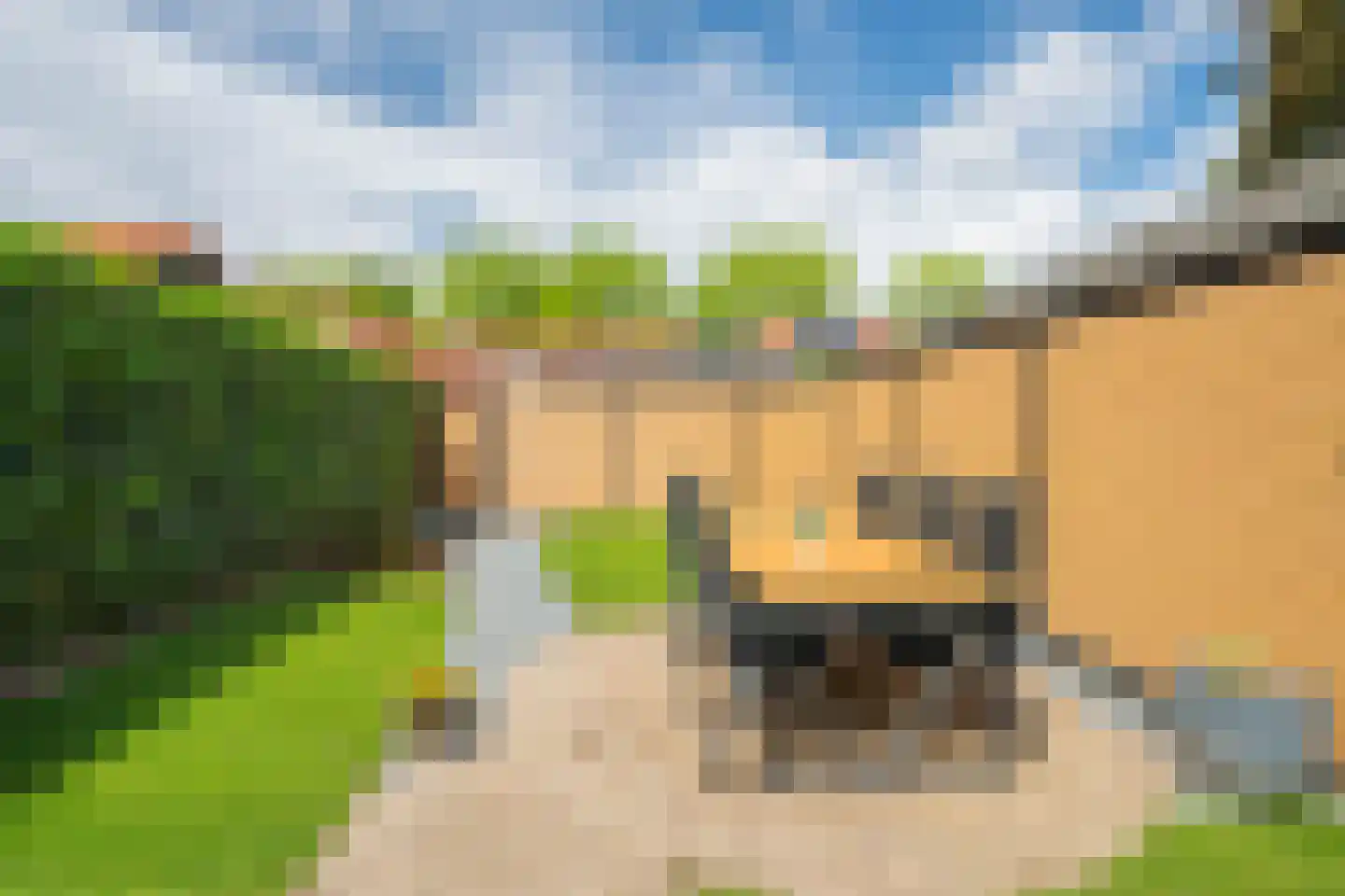 Plechelmusstraat 23 Tegelen thumbnail 5