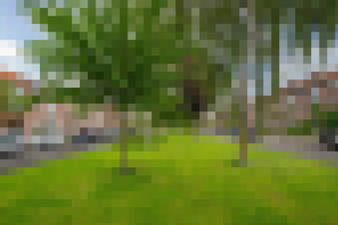Plechelmusstraat 23 Tegelen thumbnail 57