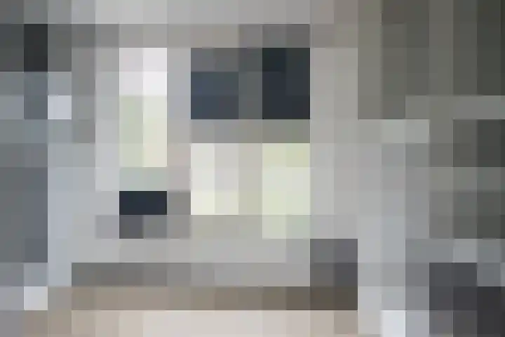 Plechelmusstraat 30 Tegelen thumbnail 22