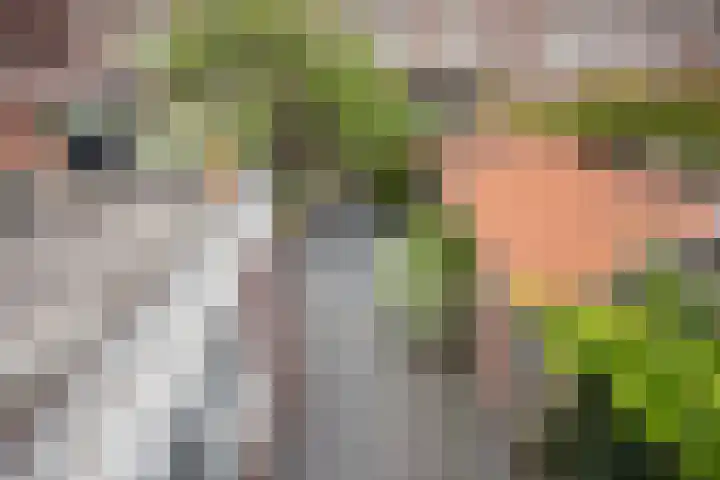 Plechelmusstraat 30 Tegelen thumbnail 32