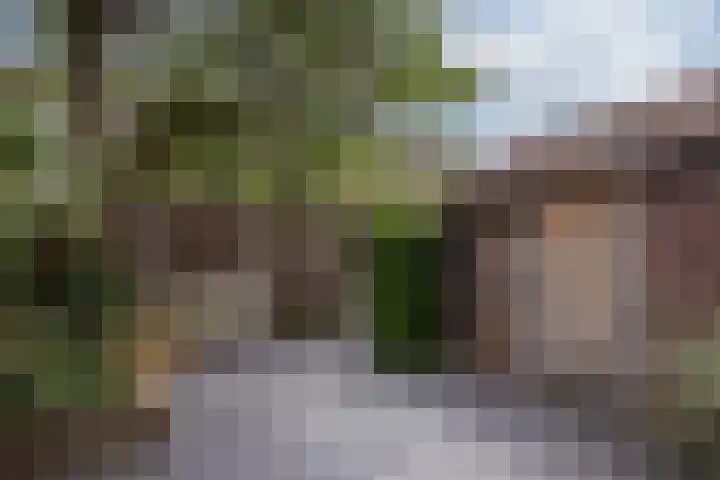 Plechelmusstraat 30 Tegelen thumbnail 35